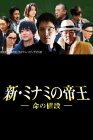 The King of Minami Returns: The Price of a Life Online In Netflix