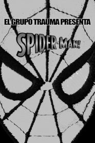 Spider-Man! Online In Netflix
