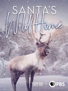 Santa’s Wild Home Online In Netflix
