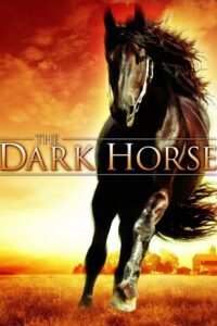 The Dark Horse Online In Netflix