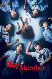 Re/Member Online In Netflix