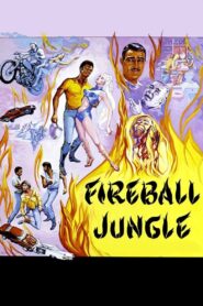 Fireball Jungle Online In Netflix