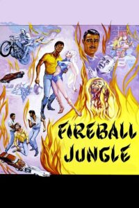 Fireball Jungle Online In Netflix