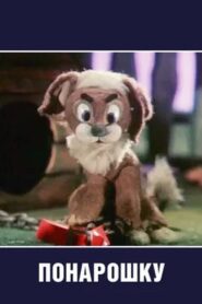 Ponaroshka Online In Netflix