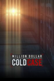 Million Dollar Cold Case 2017 one on netflix