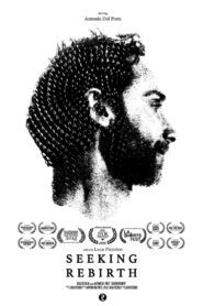 Seeking Rebirth Online In Netflix