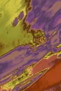 Thallus Online In Netflix