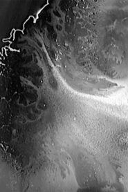 All Vows Online In Netflix