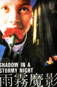 Shadow in a Stormy Night Online In Netflix