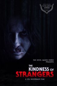 The Kindness of Strangers Online In Netflix