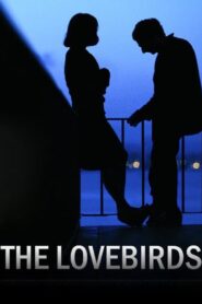 The Lovebirds Online In Netflix