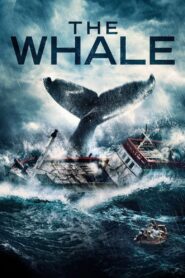 The Whale Online In Netflix