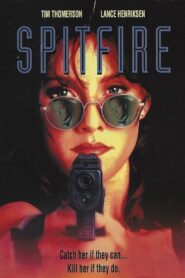 Spitfire Online In Netflix