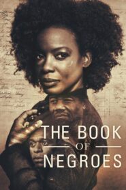 The Book of Negroes 2015 one on netflix