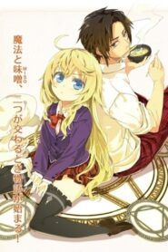 Eat Miso if You are Sorcerer! Online In Netflix