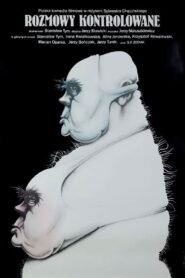 Controlled Conversations Online In Netflix