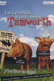 The Legend of the Tamworth Two Online In Netflix