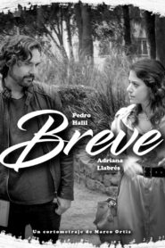 Breve Online In Netflix