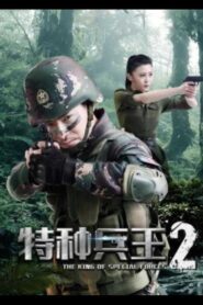 Special Forces King 2: Mission Choice Online In Netflix