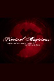 Practical Magicians: A Collaboration Between Father and Son Online In Netflix
