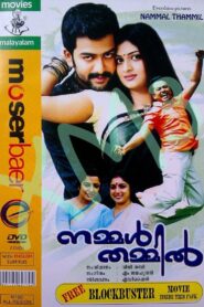 Nammal Thammil Online In Netflix