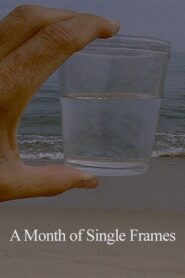 A Month of Single Frames Online In Netflix