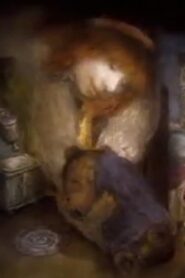 Good Night, Little Ones! Online In Netflix