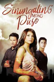 Sinungaling Mong Puso 2016 one on netflix