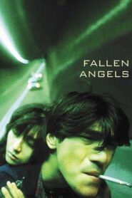 Fallen Angels Online In Netflix