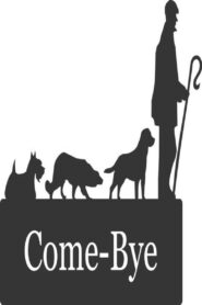 Come Bye! 2007 one on netflix