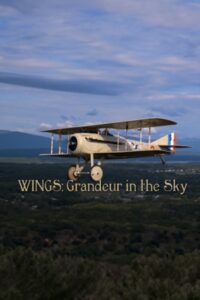 Wings: Grandeur in the Sky Online In Netflix