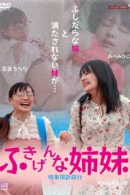 The Grumpy Sisters – Pleasure-Seeking Trip Online In Netflix