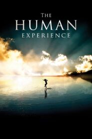 The Human Experience Online In Netflix
