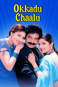 Okkadu Chaalu Online In Netflix